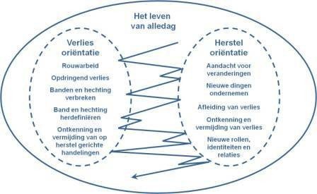 Het dagelijks leven van een ouder van een kind met EMB uitgebeeld in een diagram