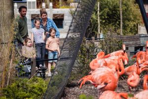 Ouwehands Dierenpark