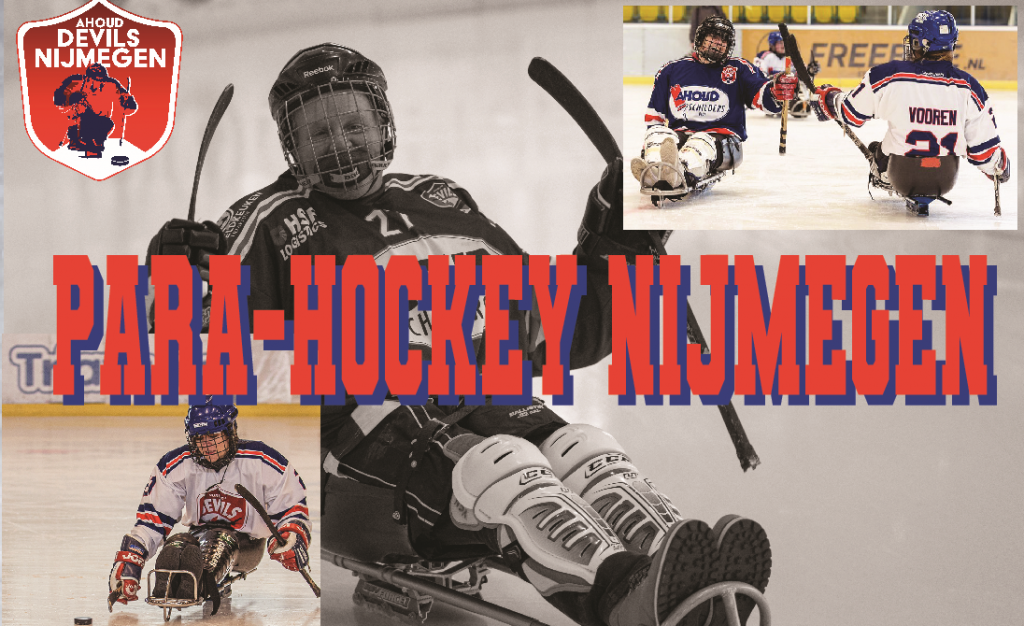 Officieel hockeydoel / hockeygoal PRO 366